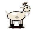 goat (alive)